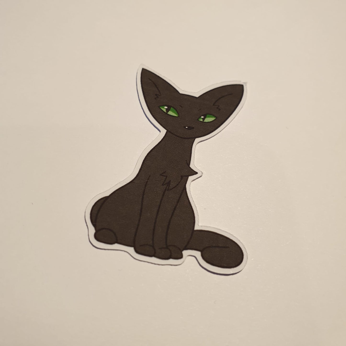 Hexen Katzen