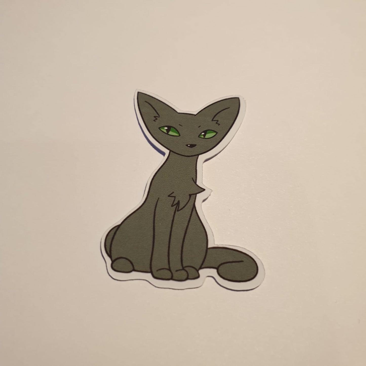Hexen Katzen